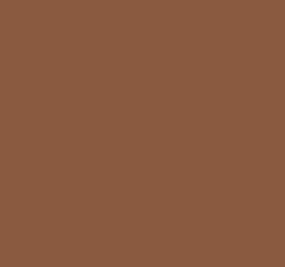 Nutmeg Brown color