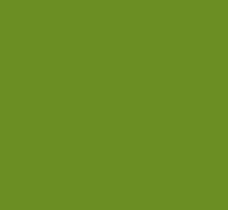 Olive Drab color