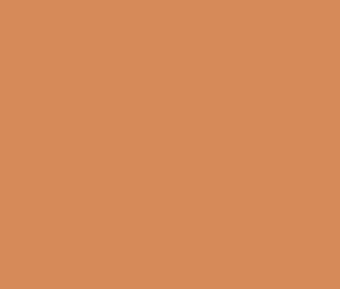 Raw Sienna color