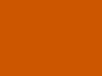 Burnt Orange color