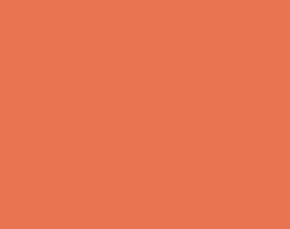 Burnt Sienna color