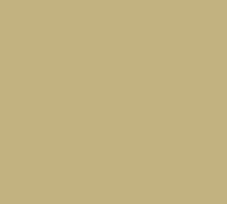 Sand Brown color